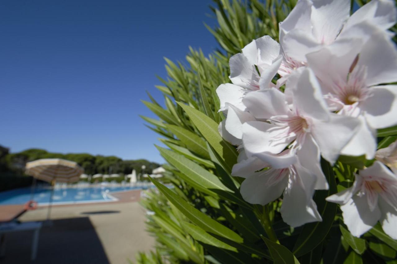 Le Residenze Di Santa Costanza - Mirto/Corbezzolo Aparthotel San Vincenzo Luaran gambar